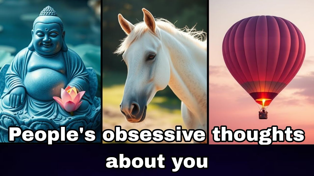 People's obsessive thoughts about you. Tarot timeless pick a card reading.