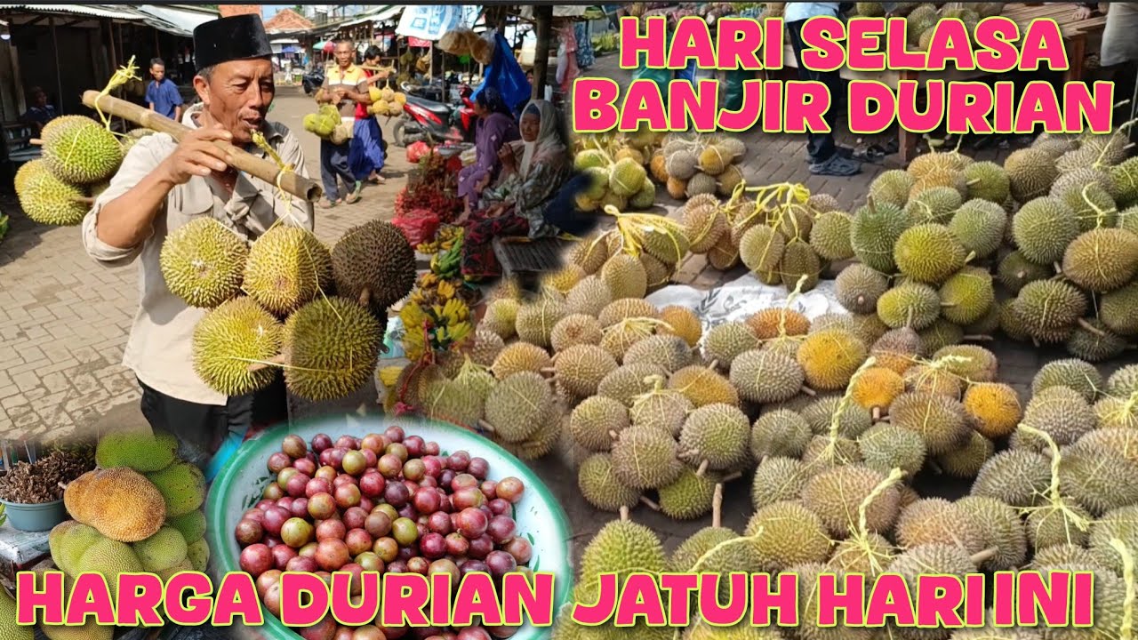 HARI SELASA TERNYATA HARGA DURIAN SEMAKIN MURAH DAN BANYAK DURIAN DI PASAR BUAH PASREPAN
