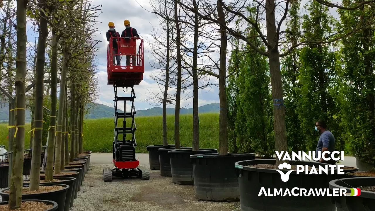 AlmaCrawler’s Bibi 870-BL EVO working at Vannucci Piante