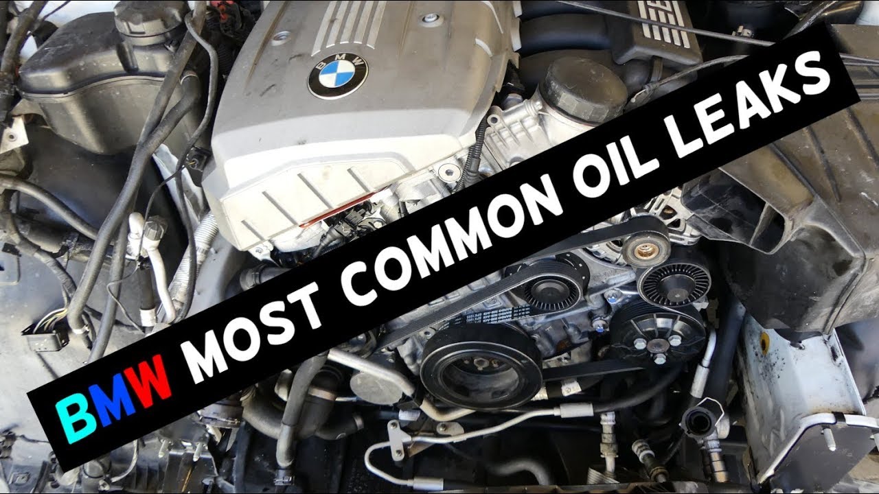 BMW MOST COMMON OIL LEAK LEAKS