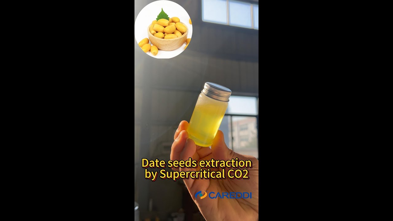 Oman date seeds oil experiment by Careddi supercritical