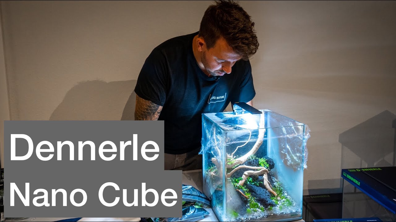 Nano Cube einrichten bei @dennerle.official | Liquid Nature on Tour