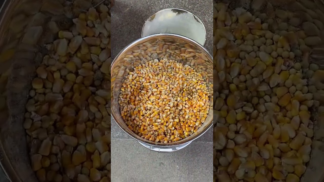 Heavy Duty Stainless Steel Grain Grinder for Poultry Feed