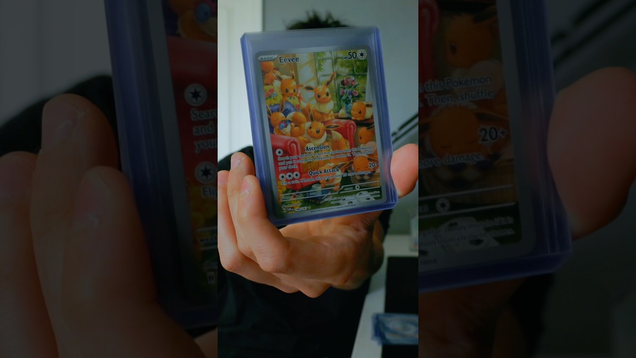 A Small Part of My Pok&eacute;mon Card Collection&hellip; But It&rsquo;s CRAZY