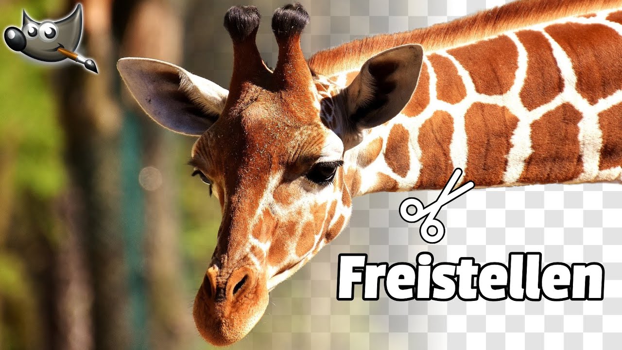 Ausschneiden / Freistellen - Transparenter Hintergrund | Gimp 2.10 Tutorial Deutsch