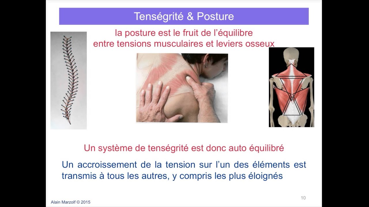 3 - Qu'est ce qu'un Trigger Point (Début de la formation de 2 jours) - Alain Marzolf