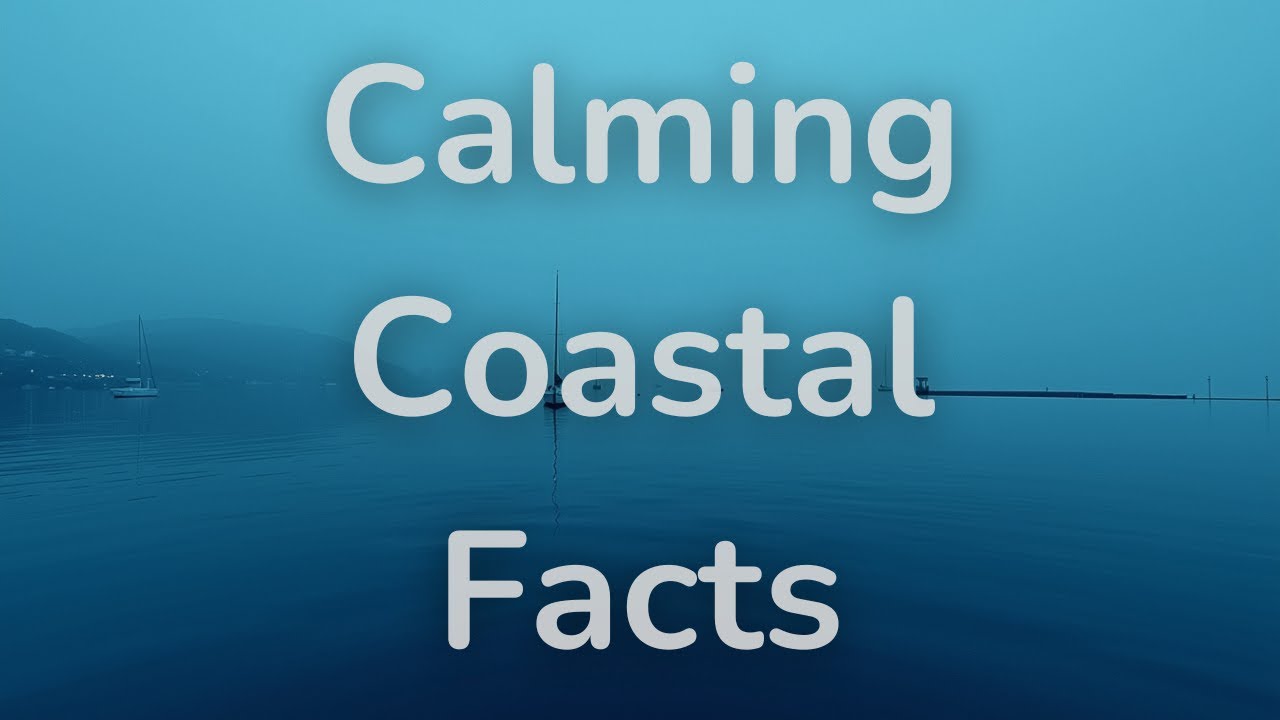 Calming Coastal Facts to Fall Asleep To