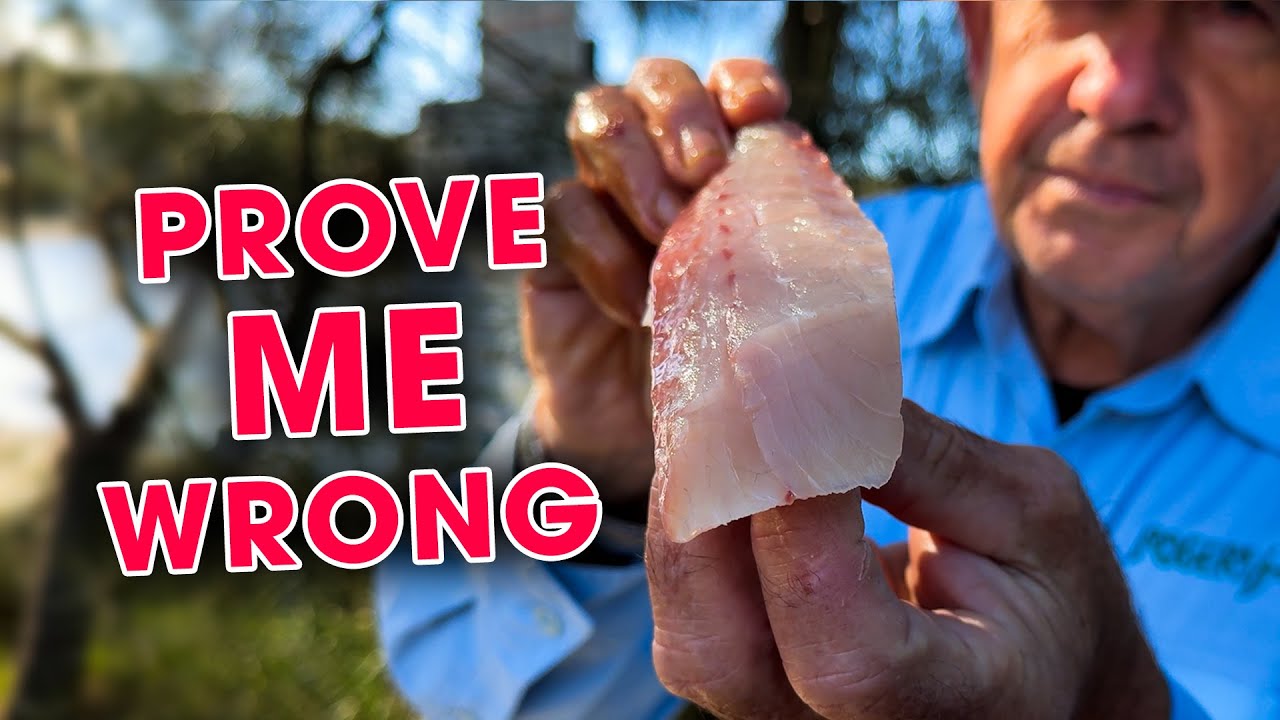 Is this the World's BEST Sashimi? 👀