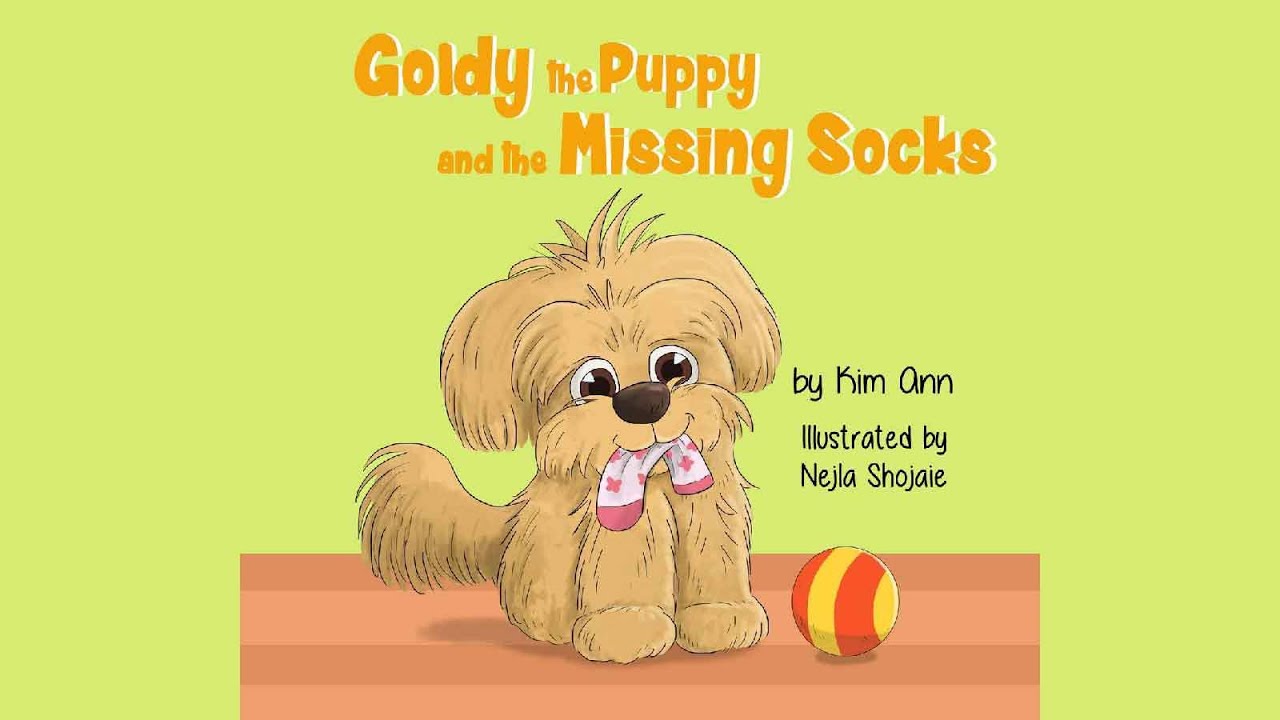 Goldy The Puppy And The Missing Socks by Kim Ann - Videobook For Kids