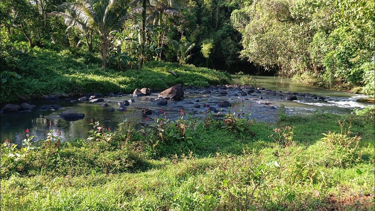 (P# 954) 2.3 hectares Farm Lot na may boundary na ilog sa Cavinti, Laguna @ 7M , pwede installment.