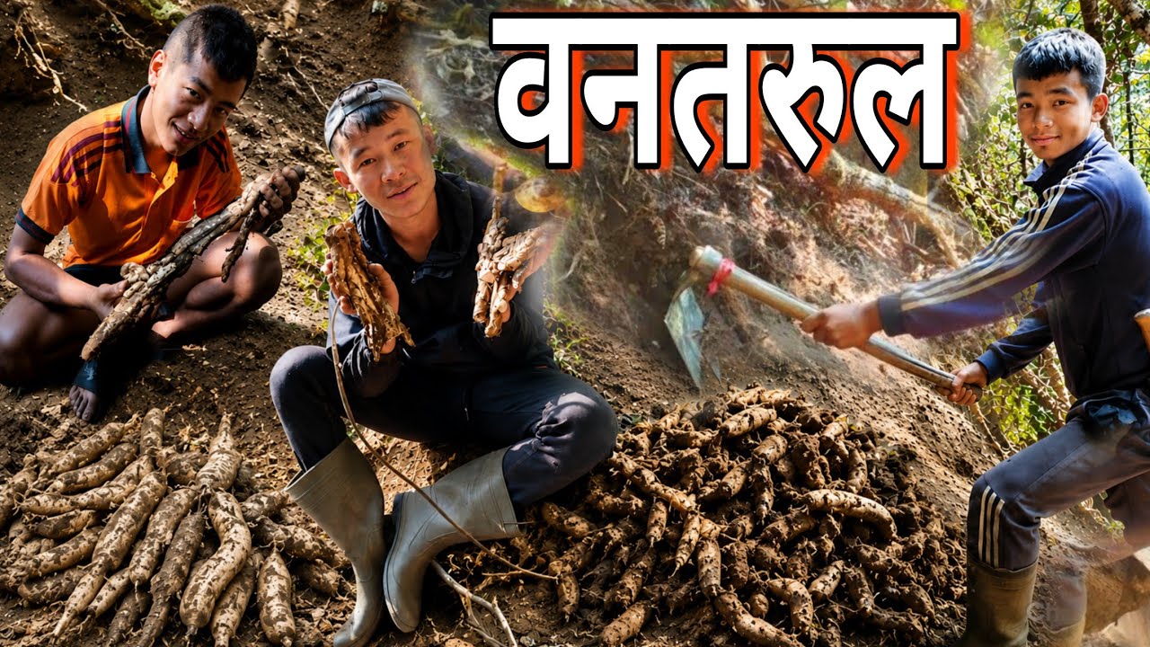 Ban Tarul Ra Eskus Tarul Khaniyo /MAGESAKRANTI/