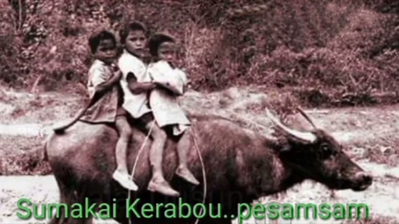 Daerah Ranau dulu dan kini...