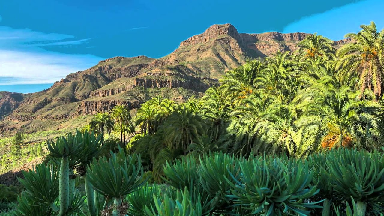 Gran Canaria - La energía que te espera