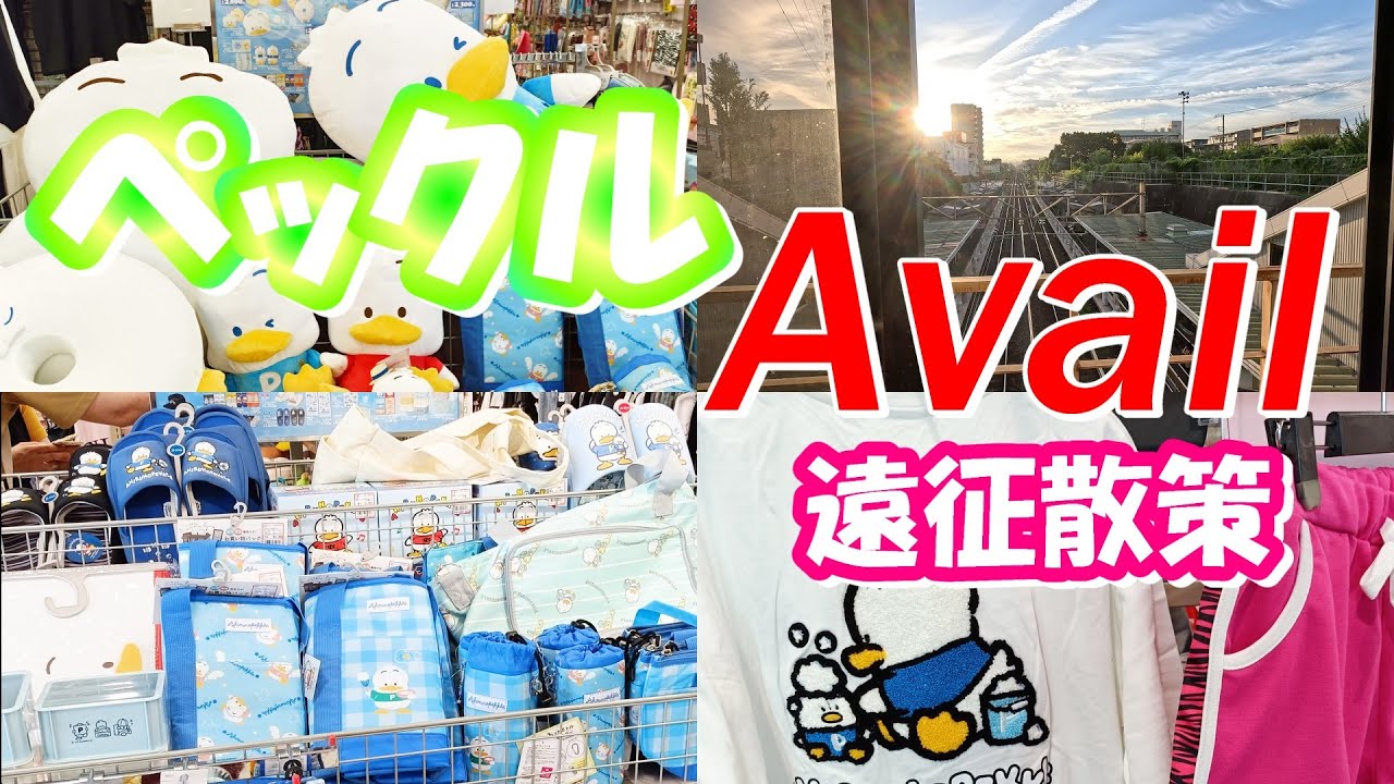 【過酷日帰り旅】アベイルのペックルグッズを求めて遠方店舗ハシゴ　サンリオ