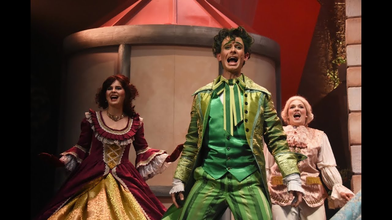 Finale Doornroosje de Musical