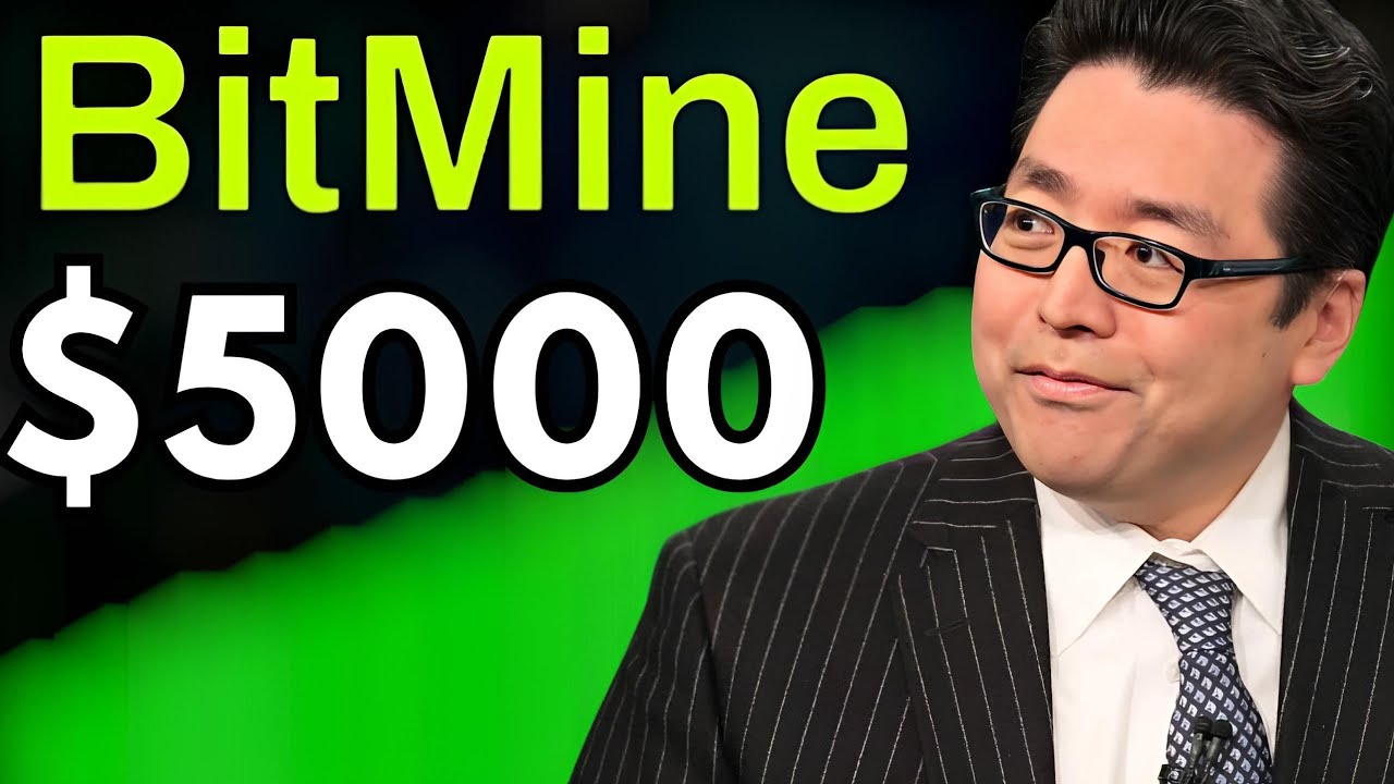 Bitmine Stock Could Explode Higher! (Here&rsquo;s Why)