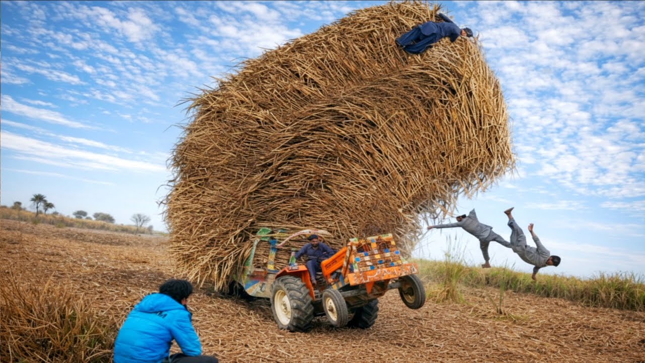 MF 385 vs Al Ghazi Heavy Sugarcane Trolley Pulling Test @NaeenTractors786 