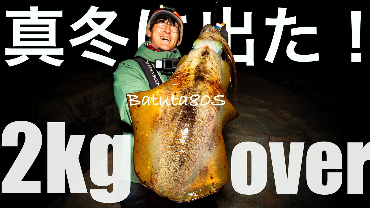【2kg】2月大寒波明けでのデカイカhunting  満月大潮Batuta80S  やますてぃ　TRANSCENDENCE  冬エギング