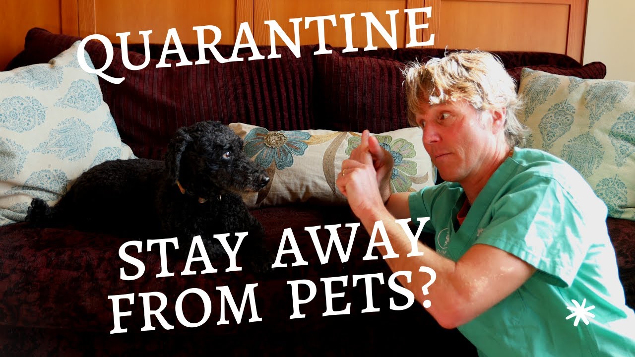 I'm In Quarantine- Stay Away From My Pets???