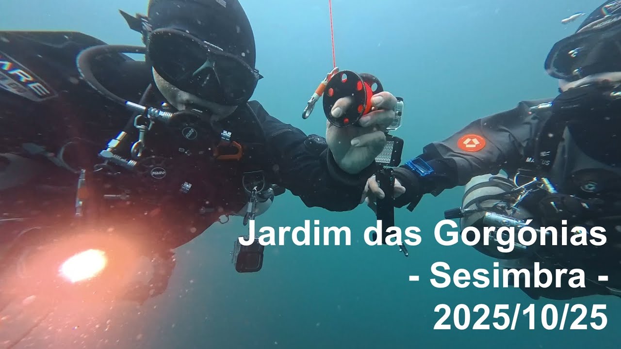 Mergulho no Jardim das Gorgónias – Sesimbra - 2025/10/25