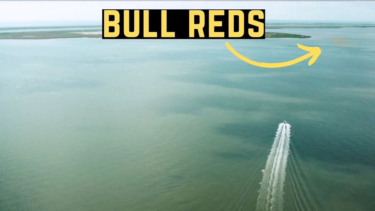 Fishing for MASSIVE REDFISH In Venice Louisiana and other cool stuff