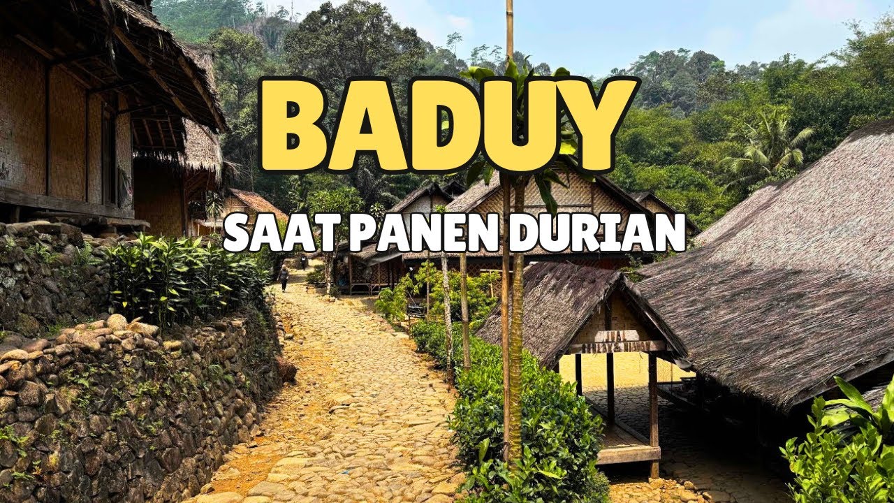 BADUY LUAR SAAT PANEN DURIAN