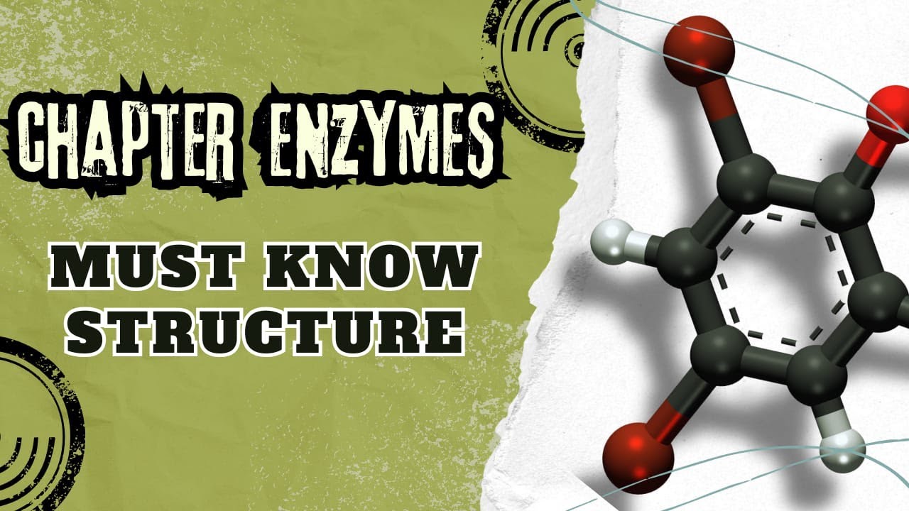 Enzymes Explained | Structure, Specificity, Activation Energy, pH & Temperature Effects