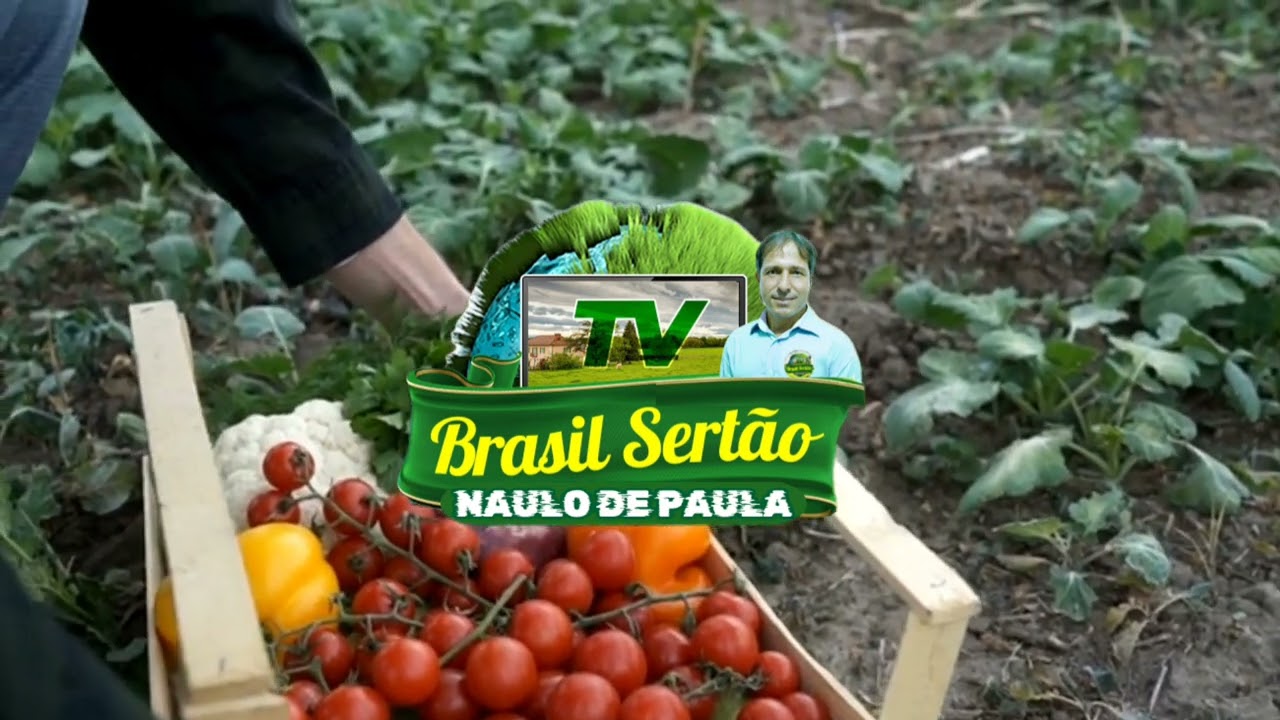 COM O P&Eacute; NA TERRA -  TV BRASIL SERT&Atilde;O