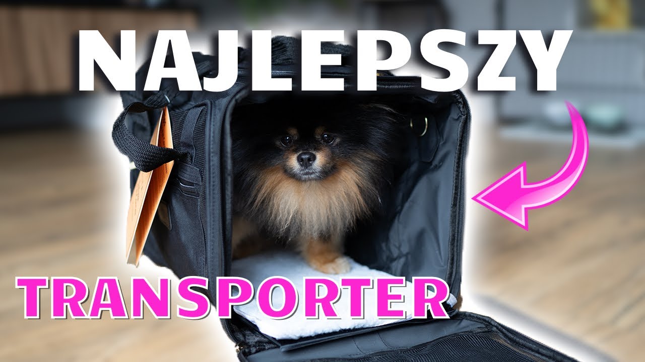 NAJLEPSZY TRANSPORTER DLA PSA DO SAMOLOTU | VLOG ✈️