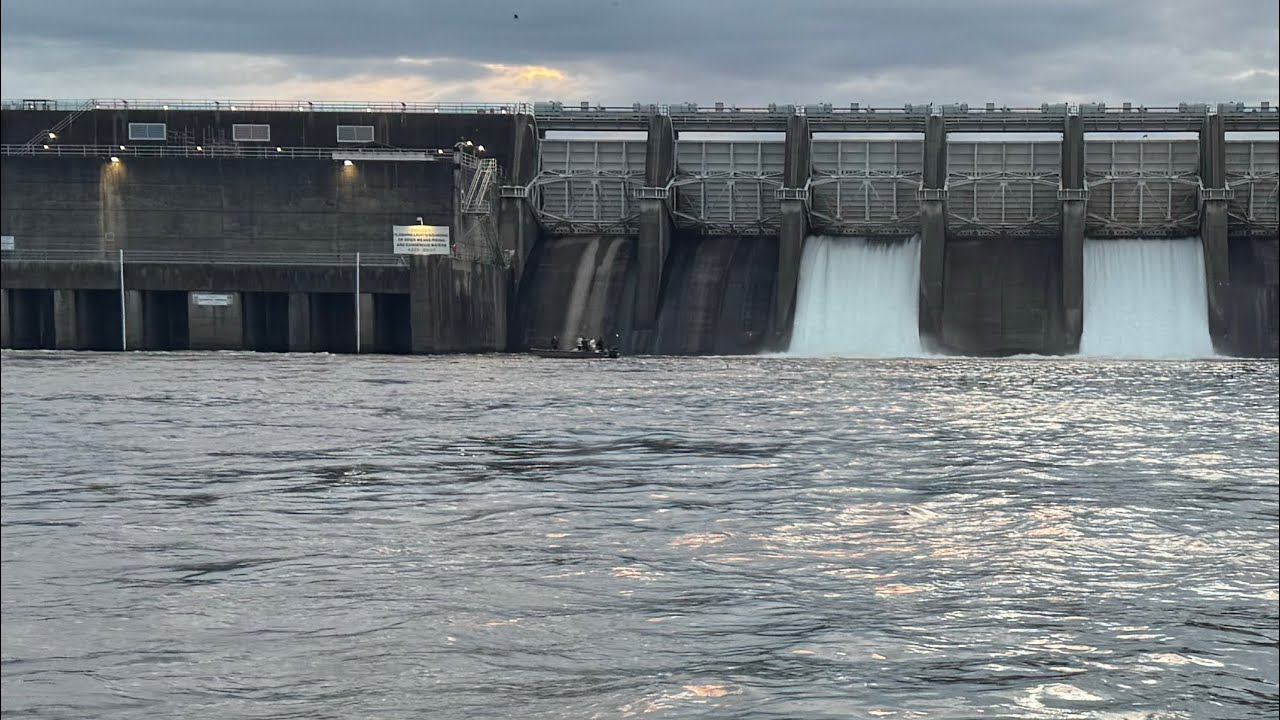 Big Tennessee Dam Top water Striped Bass!!