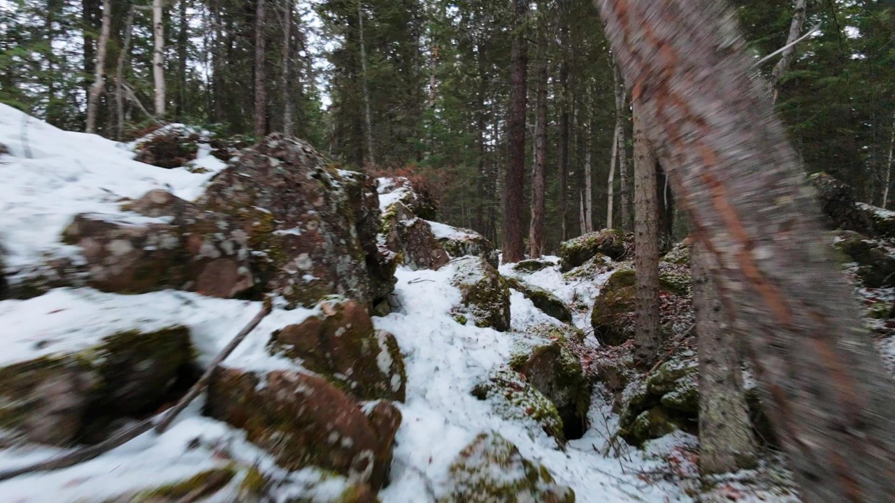 Flight Vlog #59 - Forest FPV flying is fun! (@ the cabin) - DJI NEO2