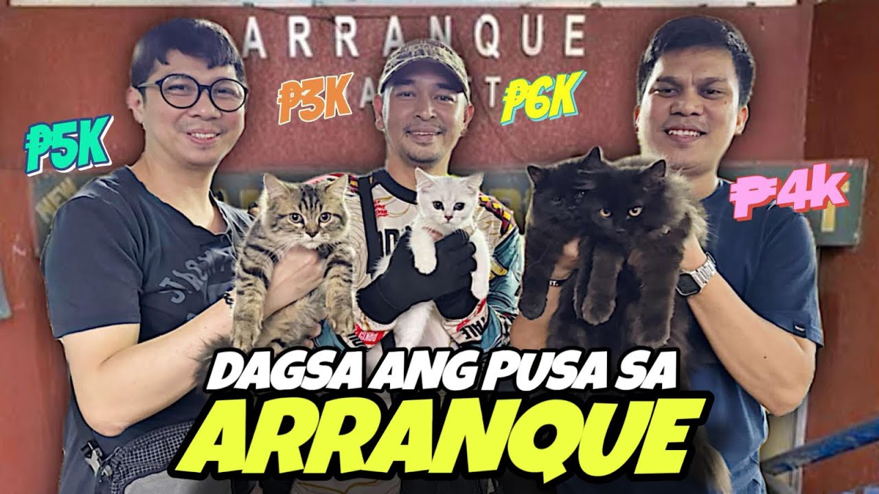 UPDATE SA MAYNILA  | ARRANQUE PET MARKET | MARCH 13, 2025