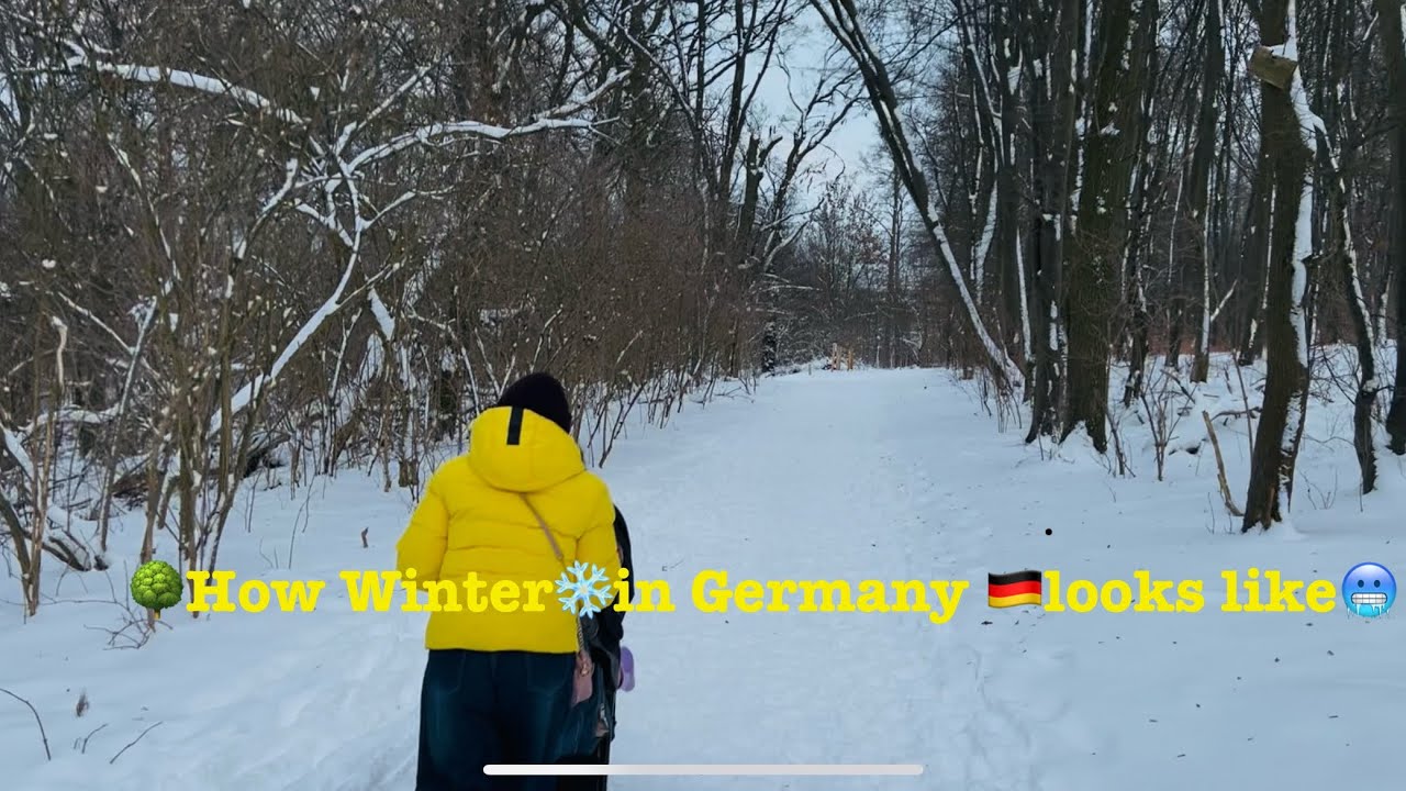 🌳How Winter❄️in Germany 🇩🇪looks like🥶Wunderschöner Schneefall 