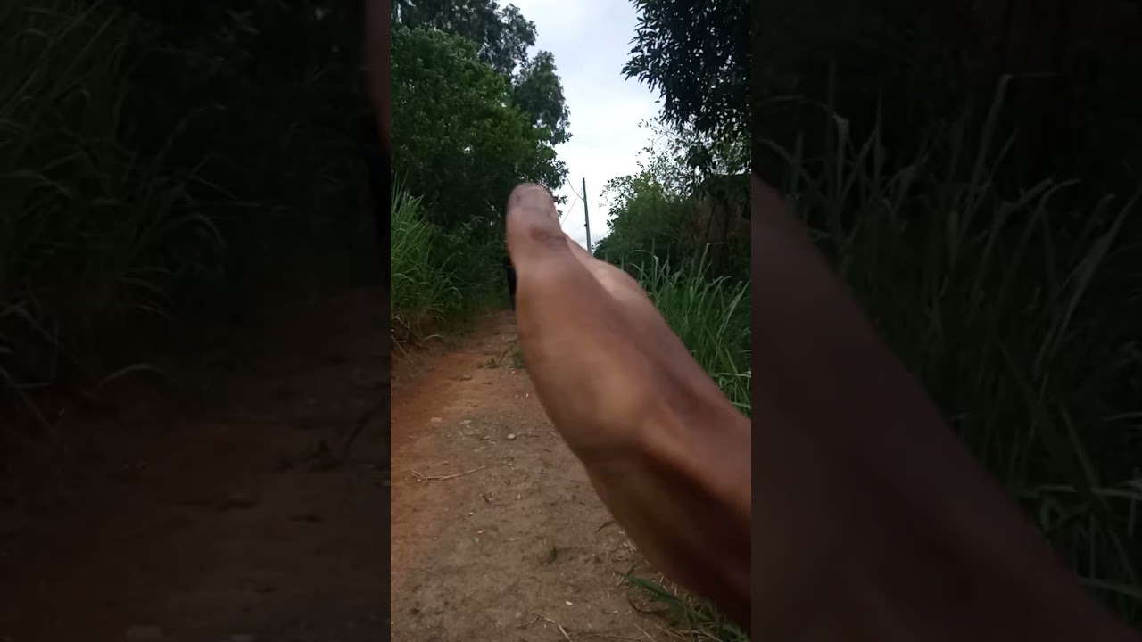 VENDO TERRENO OLX VIDEO 8 VID 20250126 WA0014