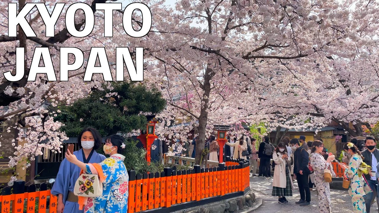 【4K】Киото  Цветение вишни 2022 | Keage Incline, Gion