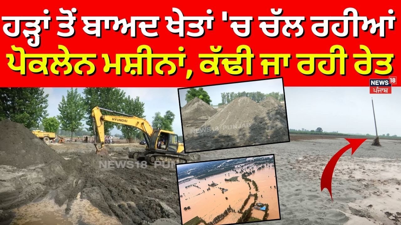 Punjab Floods | ਹੜ੍ਹਾਂ ਤੋਂ ਬਾਅਦ ਖੇਤਾਂ 'ਚ ਚੱਲ ਰਹੀਆਂ ਪੋਕਲੇਨ ਮਸ਼ੀਨਾਂ, ਕੱਢੀ ਜਾ ਰਹੀ ਰੇਤ | Ajnlala | N18V