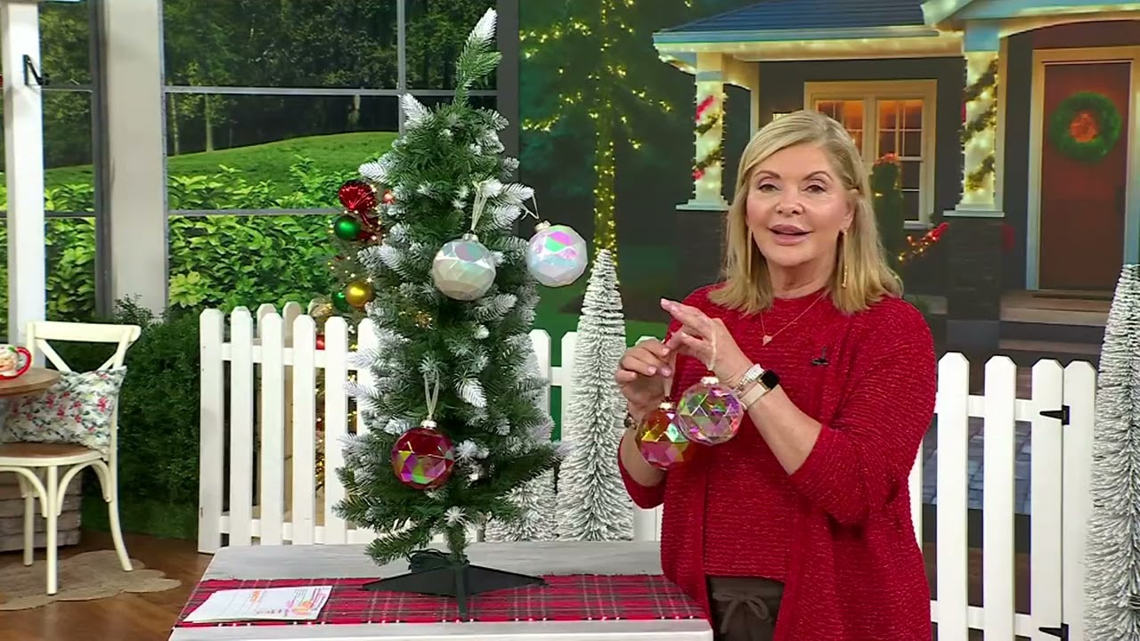 Fierce Home Set of 5 Glass Disco Ball Ornaments with Gift Box on QVC