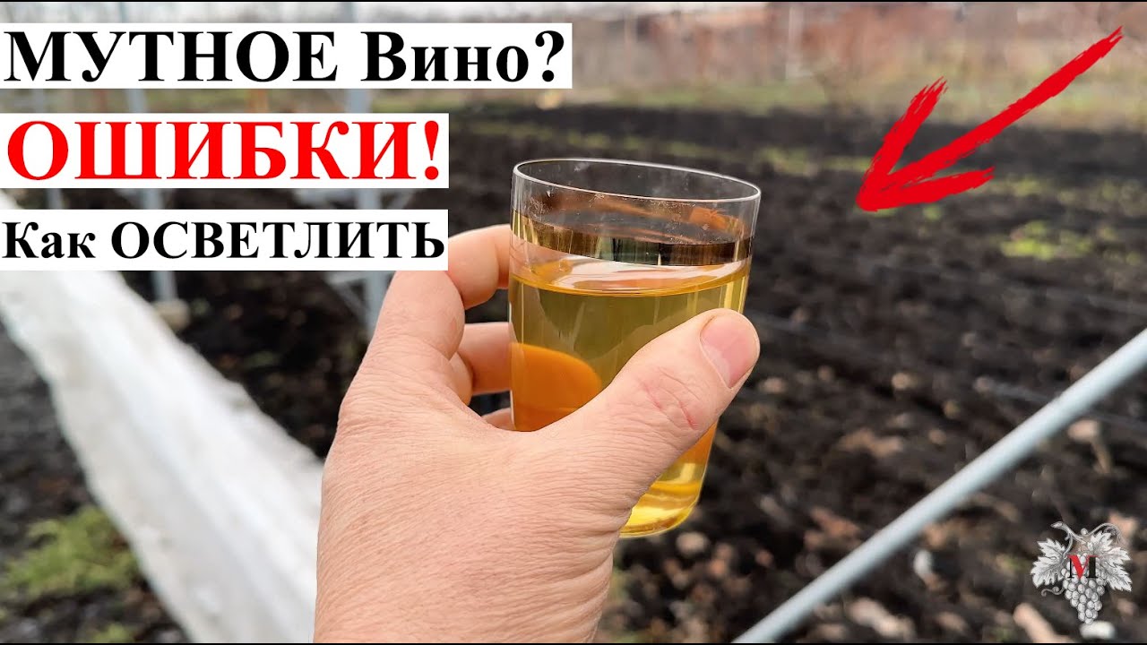 МУТНОЕ Вино? ОСНОВНЫЕ Ошибки! Как НЕ ДОПУСТИТЬ и Как ПРАВИЛЬНО ОСВЕТЛИТЬ 🍷