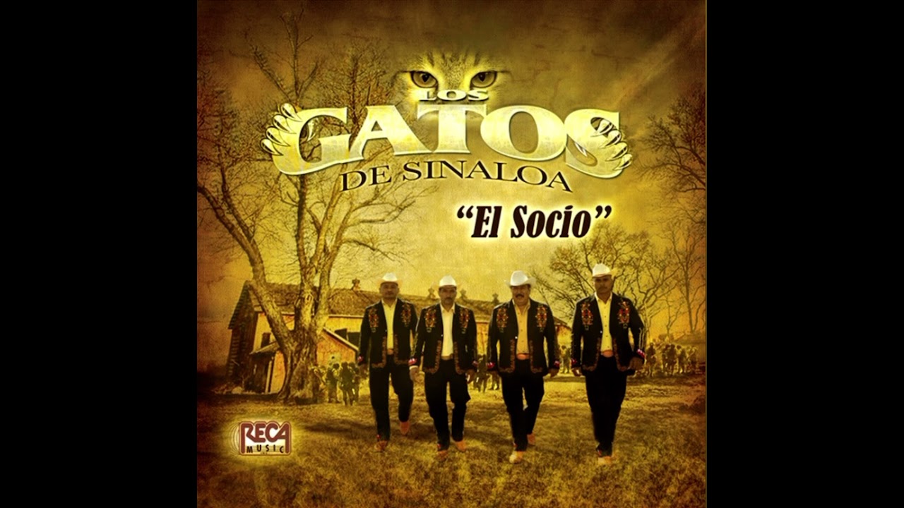 Ivan Archivaldo- Gatos de Sinaloa