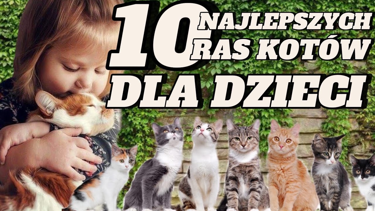 10 NAJLEPSZYCH RAS KOTÓW DLA DZIECI