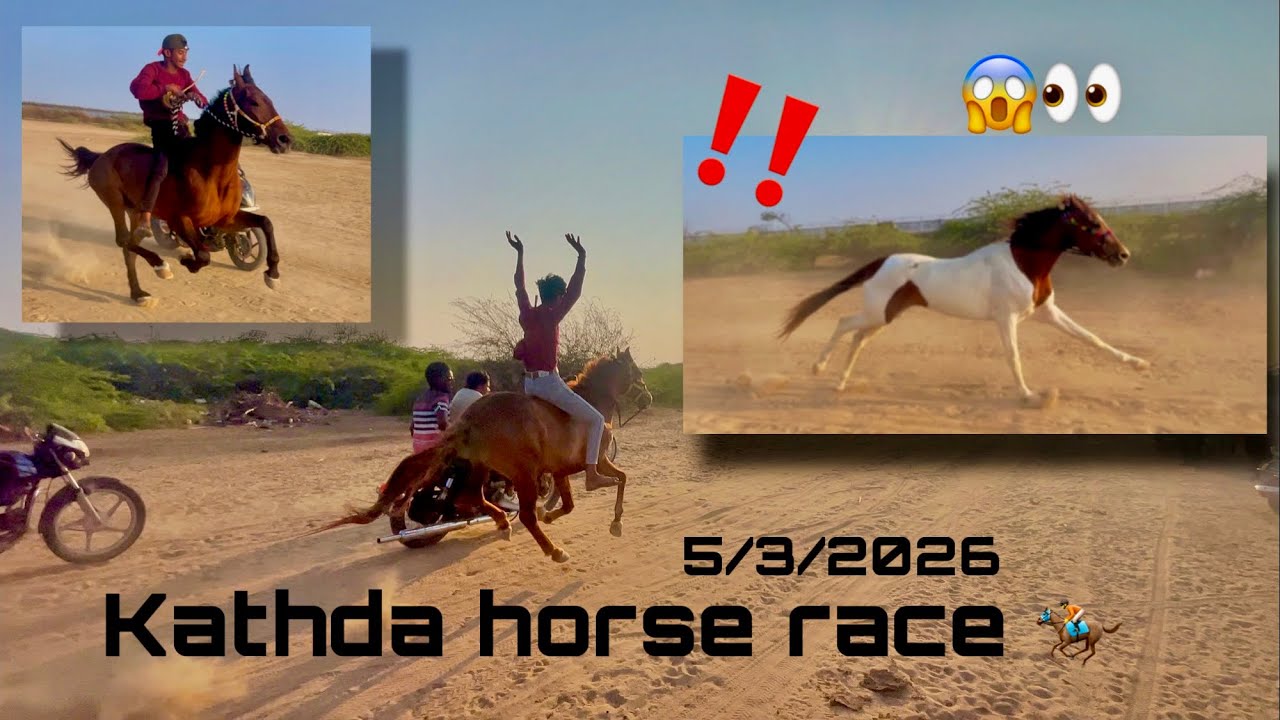 Kathda horse race 🏇 horse out of control /Horse power Horse full speed3 March 2026 #horse #horserace