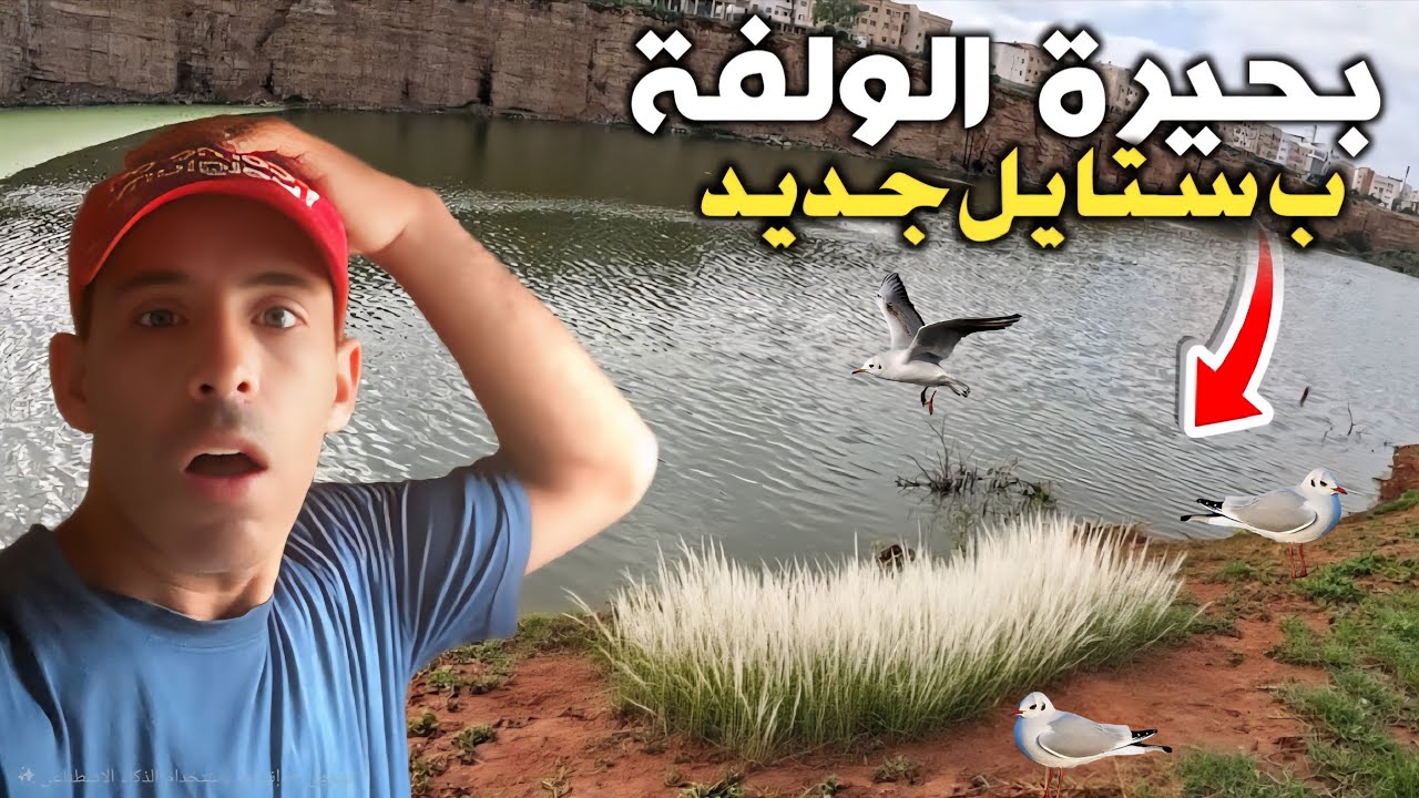بحيرة الولفة الدار البيضاء 🇲🇦من نقطة سوداء الى متنزه بيئي ياسلام! اصبحت وجهة للعائلات ومتنفس للجميع 