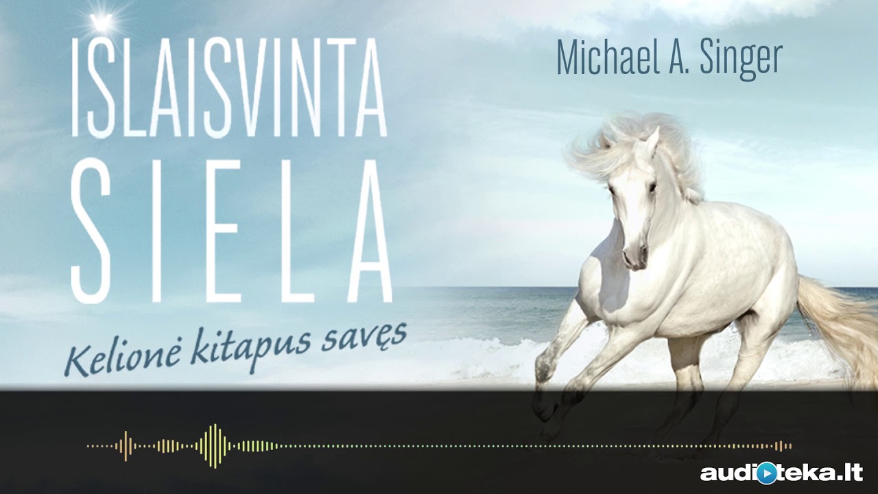 IŠLAISVINTA SIELA. Michael A. Singer audioknyga | Audioteka.lt