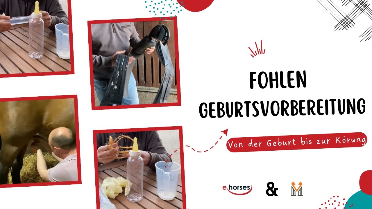 Fohlen Geburtsvorbereitung - Überwachungsgurt, Stallkamera, PH-Wert und vieles mehr