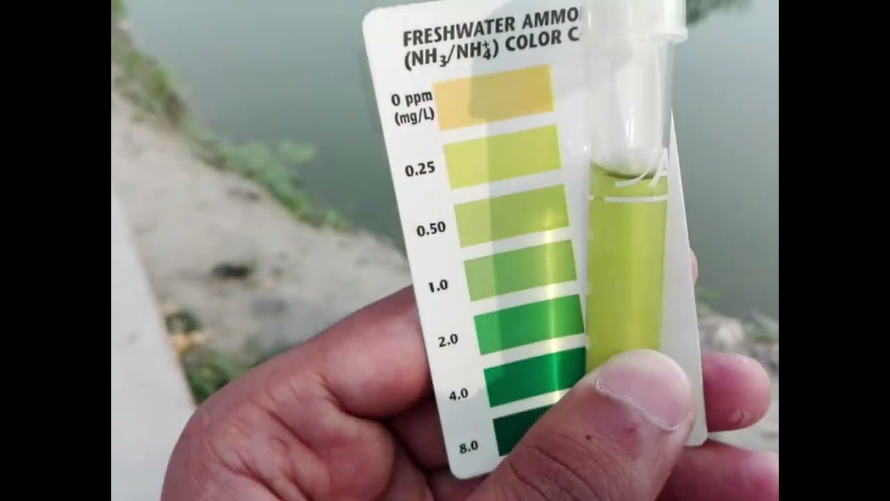 API Ammonia Test Kit – অ্যামোনিয়া লেভেল পরীক্ষা করার সহজ উপায়!