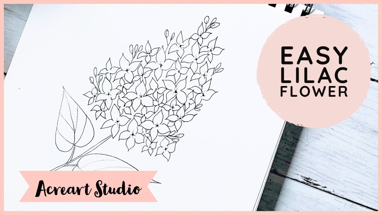 How to draw a Lilac flower for beginners