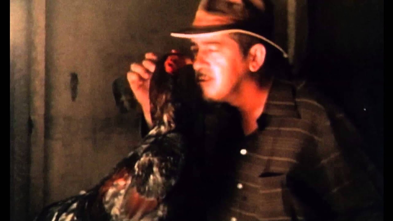 O Fim do Sem Fim - Beto Magalh&atilde;es, Cao Guimar&atilde;es e Lucas Bambozzi - VER &Eacute; UMA F&Aacute;BULA - trailer