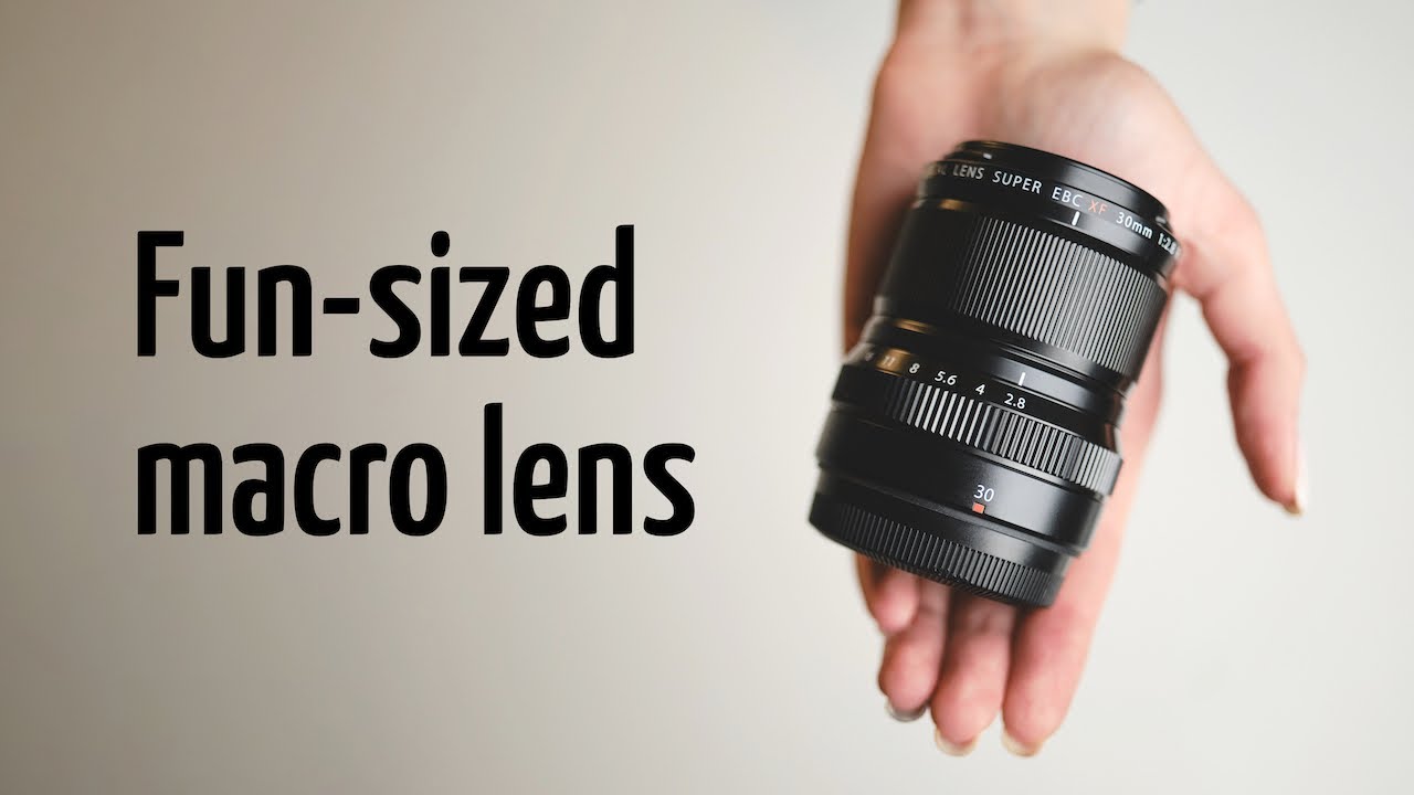 Fujifilm XF 30mm F2.8 LM WR Macro: fun-sized macro lens