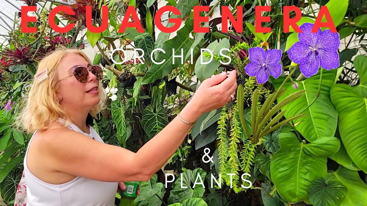 Ecuagenera Orchids and Plants nursery tour. They offer Eco Tours to Ecuador.