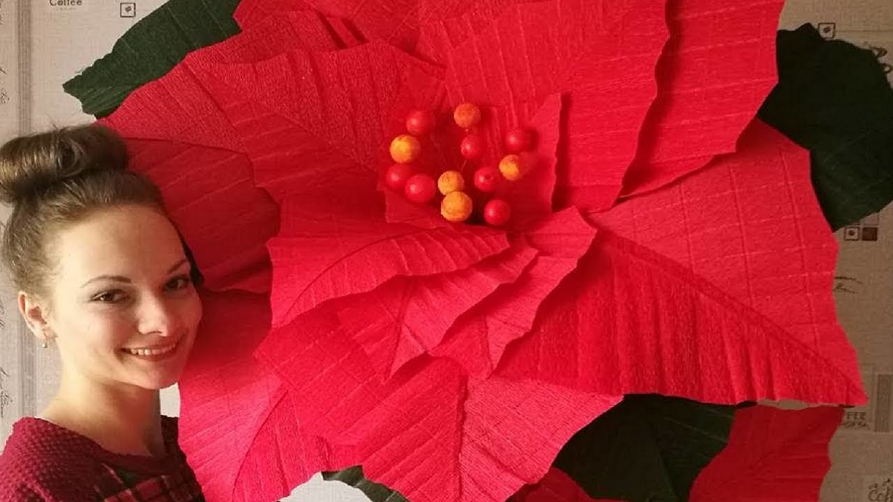 Giant crepe paper poinsettia for Christmas decoration